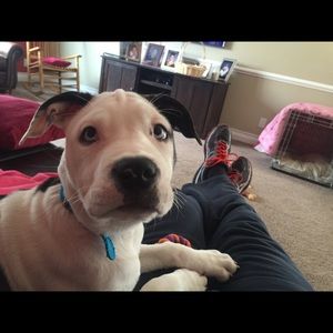 Meet your Posher, Art